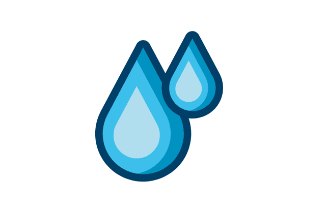 Administración de Plantas